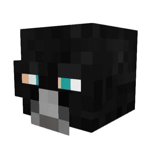 xNarach Minecraft avatar head, 3D render