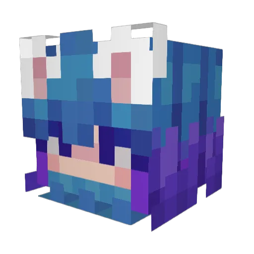 xNathan_1 Minecraft avatar head, 3D render