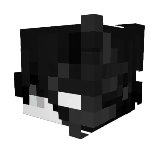 xNavaD Minecraft avatar head, 3D render