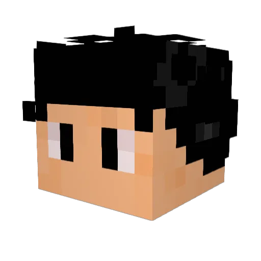 xNavyLeex Minecraft avatar head, 3D render