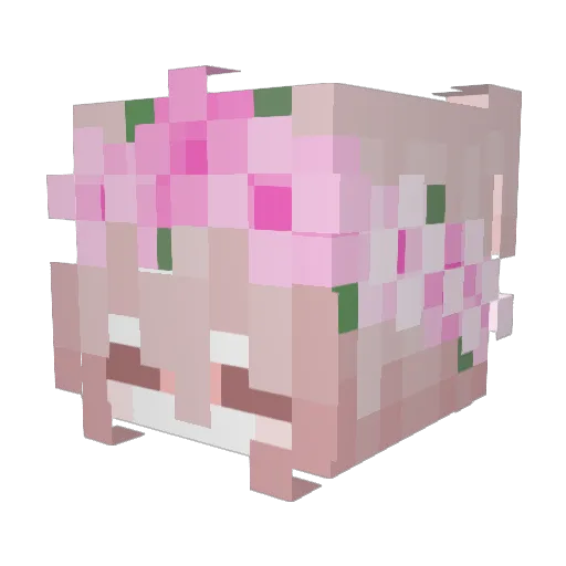 xNenji Minecraft avatar head, 3D render