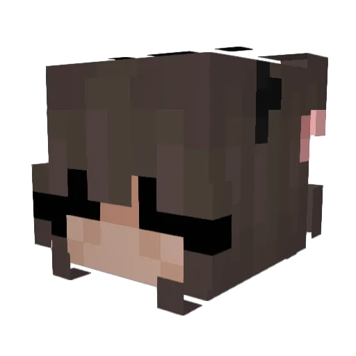 xNeo_Snow Minecraft avatar head, 3D render