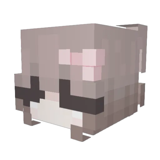 xNevaeh Minecraft avatar head, 3D render