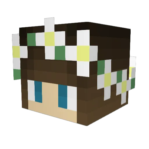 xNeveNx Minecraft avatar head, 3D render