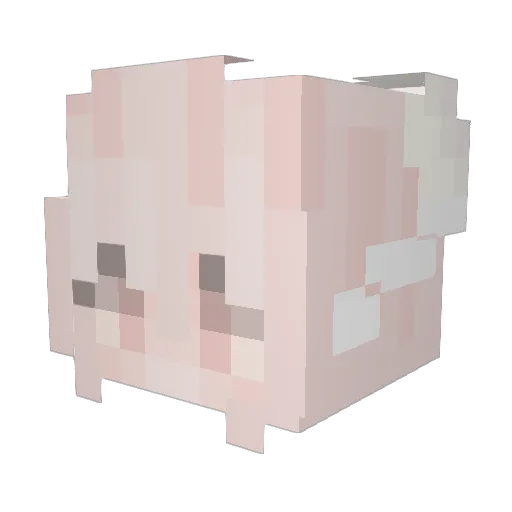 xNickeyx Minecraft avatar head, 3D render
