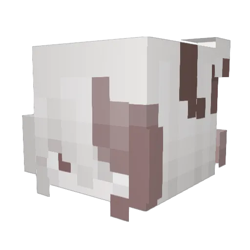 xNickyUwU Minecraft avatar head, 3D render