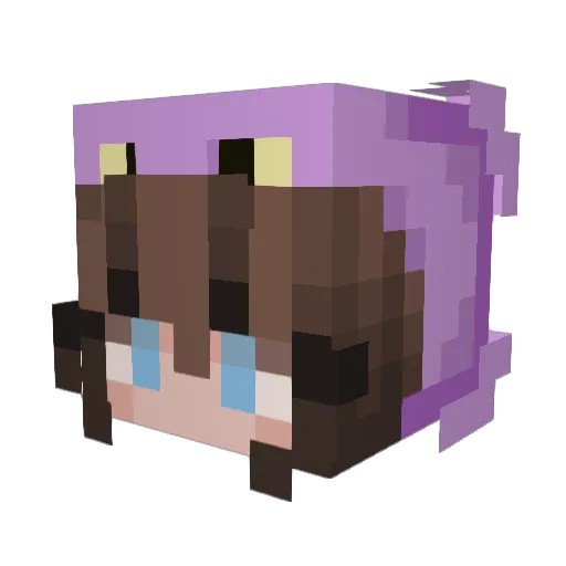 xNightLockx Minecraft avatar head, 3D render