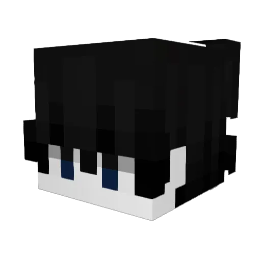 xNightSIWY Minecraft avatar head, 3D render