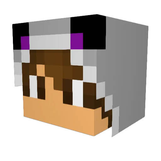 xNightWulf Minecraft avatar head, 3D render