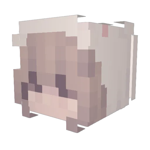xNight_Sky Minecraft avatar head, 3D render