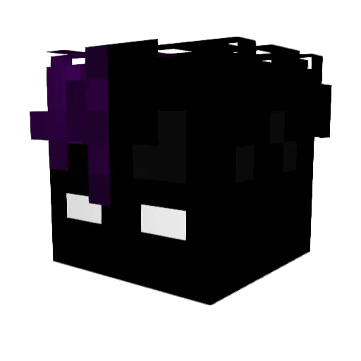 xNikiah_ Minecraft avatar head, 3D render