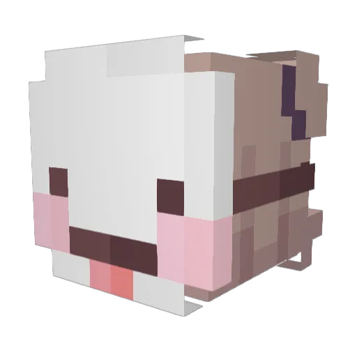 xNikkiMouse Minecraft avatar head, 3D render