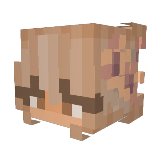 xNimue Minecraft avatar head, 3D render