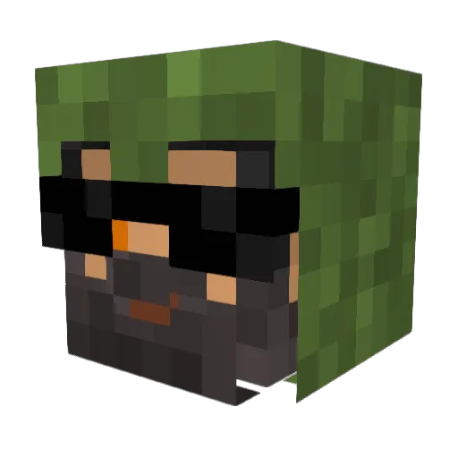 xNinjacraft Minecraft avatar head, 3D render