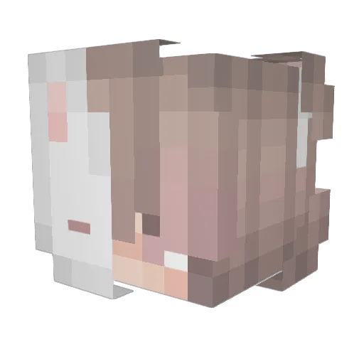 xNiteNyx Minecraft avatar head, 3D render