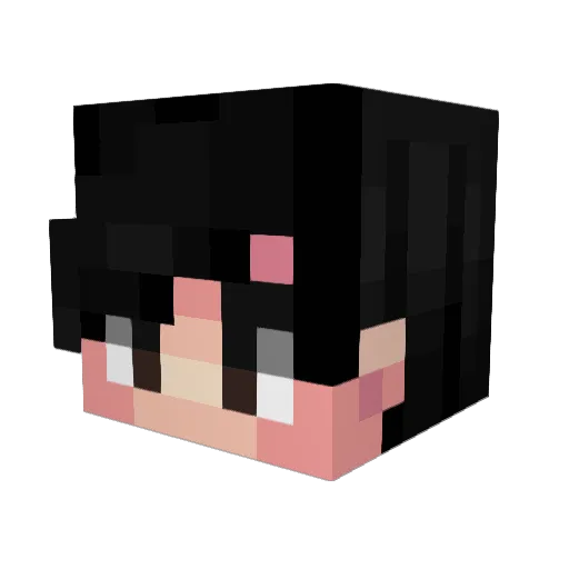 xNiuR Minecraft avatar head, 3D render