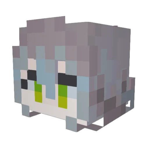 xNoFx Minecraft avatar head, 3D render