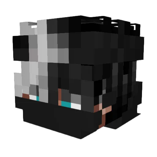 xNoir_ Minecraft avatar head, 3D render