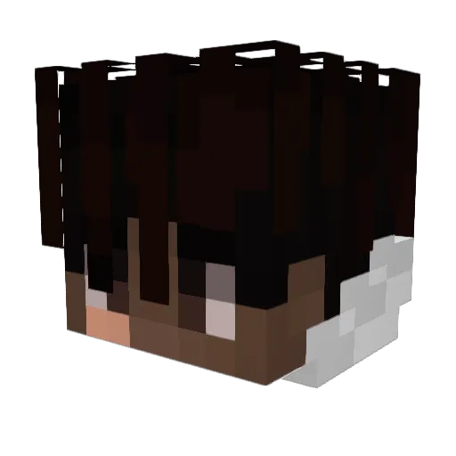 xNolli Minecraft avatar head, 3D render