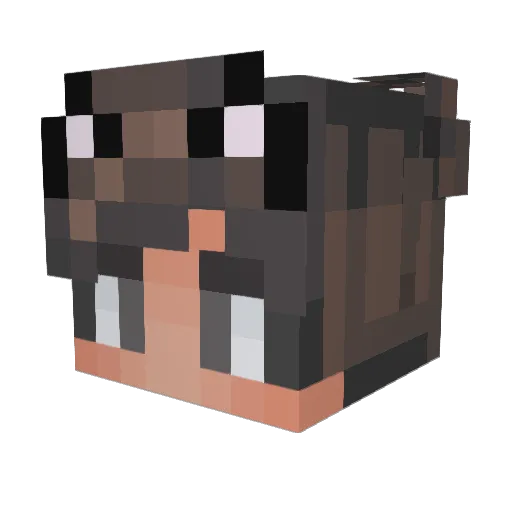 xNorak Minecraft avatar head, 3D render