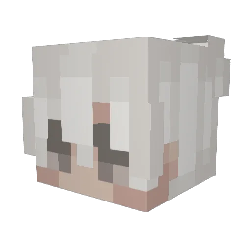 xNotelfe_ Minecraft avatar head, 3D render