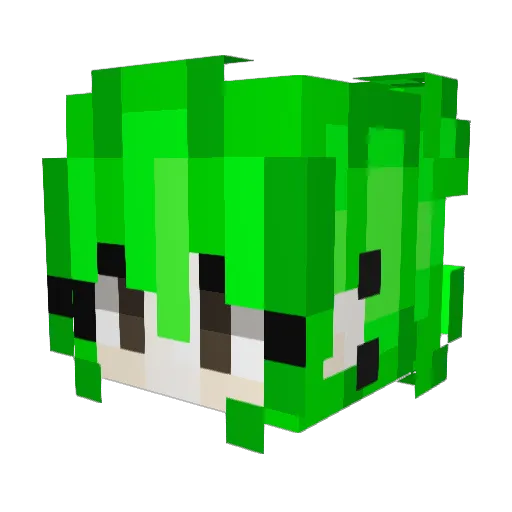 xNovastar Minecraft avatar head, 3D render