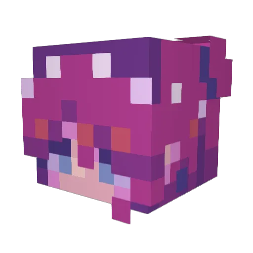 xNovellix Minecraft avatar head, 3D render