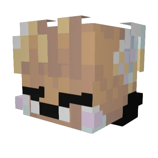 xNovium Minecraft avatar head, 3D render