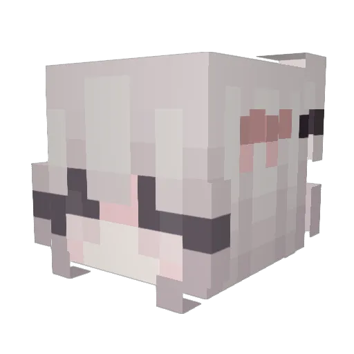 xNsh__ Minecraft avatar head, 3D render