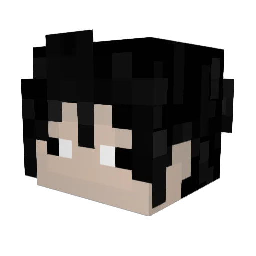 xNthanxz Minecraft avatar head, 3D render