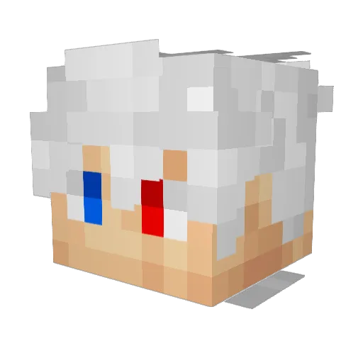 xNutell020 Minecraft avatar head, 3D render