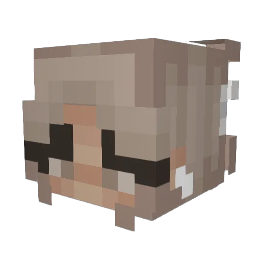xNutellabrot02 Minecraft avatar head, 3D render