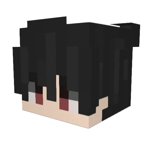 xNxei_ Minecraft avatar head, 3D render