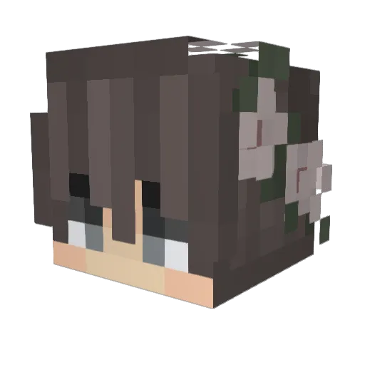 xNyash_ Minecraft avatar head, 3D render
