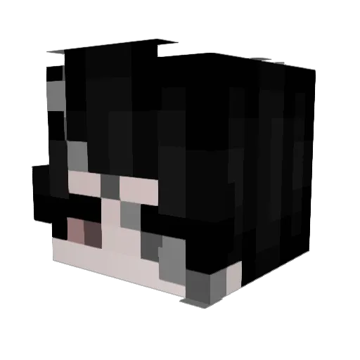 xNyple Minecraft avatar head, 3D render