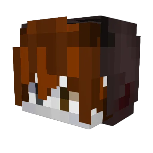 xNyyct Minecraft avatar head, 3D render