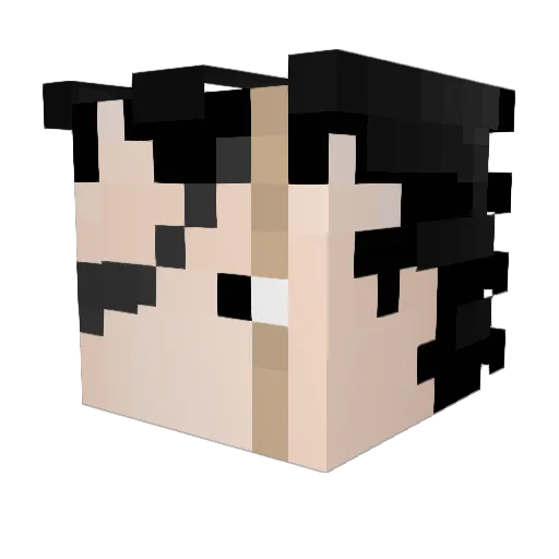 xOkarun_ Minecraft avatar head, 3D render