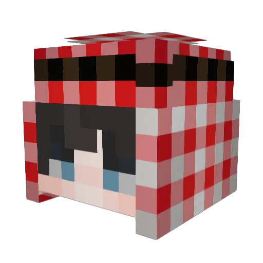 xOmarrz Minecraft avatar head, 3D render