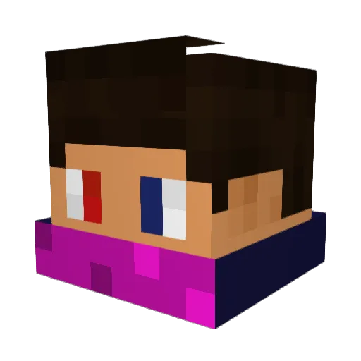 xOnooka_ Minecraft avatar head, 3D render