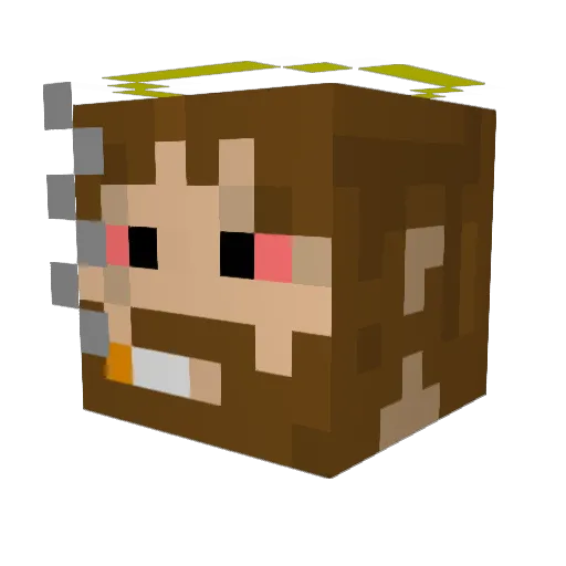 xOrange_ Minecraft avatar head, 3D render