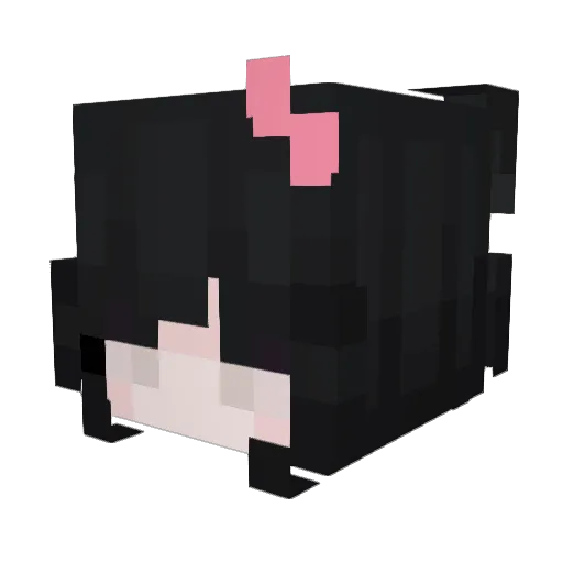 xOw0 Minecraft avatar head, 3D render