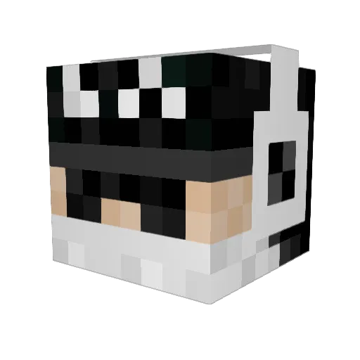 xP0LARB3ARRx Minecraft avatar head, 3D render