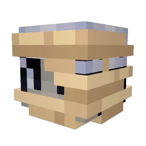 xP529 Minecraft avatar head, 3D render