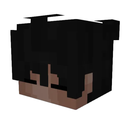 xPJUT Minecraft avatar head, 3D render