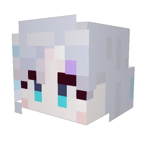 xPOKEDora Minecraft avatar head, 3D render