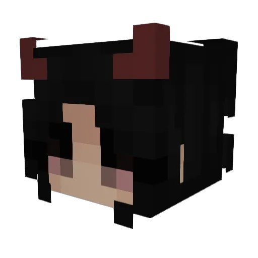 xPandaCookie Minecraft avatar head, 3D render