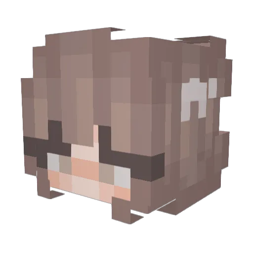 xPandaX8931 Minecraft avatar head, 3D render