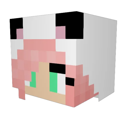 xPandax13 Minecraft avatar head, 3D render