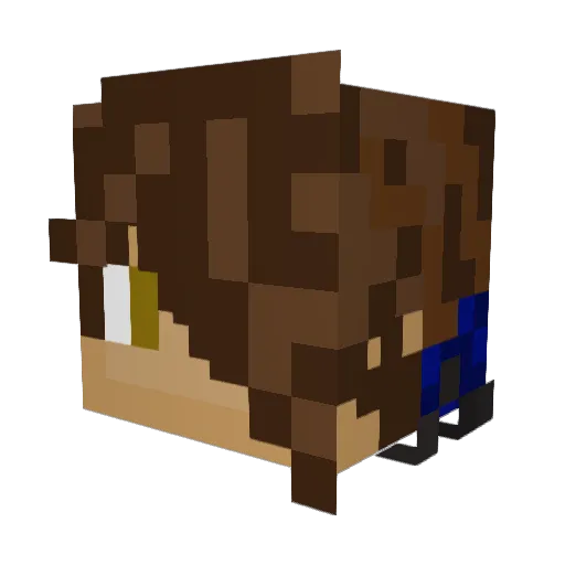 xParadoxReaperx Minecraft avatar head, 3D render