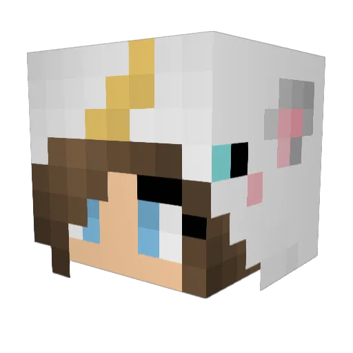 xPastelUnicornx Minecraft avatar head, 3D render